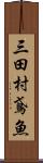 三田村鳶魚 Scroll