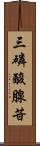 三磷酸腺苷 Scroll