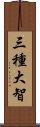 三種大智 Scroll