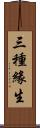 三種緣生 Scroll