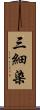 三細染 Scroll