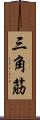 三角筋 Scroll