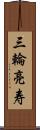 三輪亮寿 Scroll