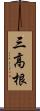 三高根 Scroll