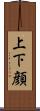 上下顔 Scroll