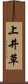 上井草 Scroll