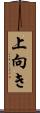 上向き Scroll