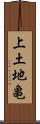 上土地亀 Scroll