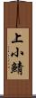 上小鯖 Scroll