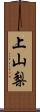 上山梨 Scroll