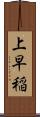 上早稲 Scroll