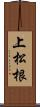 上松根 Scroll