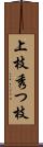 上枝 Scroll