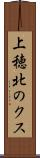 上穂北のクス Scroll