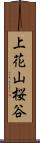 上花山桜谷 Scroll