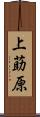 上莇原 Scroll