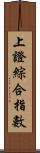 上證綜合指數 Scroll