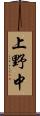 上野中 Scroll