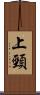 上頸 Scroll