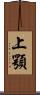 上顎 Scroll