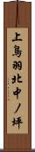 上鳥羽北中ノ坪 Scroll