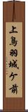 上鳥羽城ケ前 Scroll