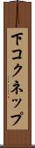 下コクネップ Scroll