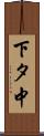 下タ中 Scroll