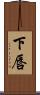 下唇 Scroll