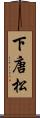 下唐松 Scroll