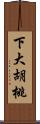 下大胡桃 Scroll