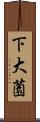 下大薗 Scroll