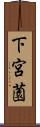下宮薗 Scroll