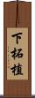 下柘植 Scroll