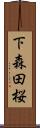 下森田桜 Scroll