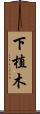 下植木 Scroll