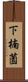 下楠薗 Scroll