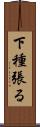 下種張る Scroll