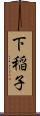 下稲子 Scroll