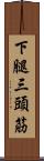 下腿三頭筋 Scroll