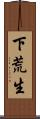 下荒生 Scroll