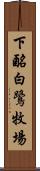 下酪白鷺牧場 Scroll