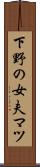 下野の女夫マツ Scroll