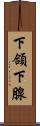 下頜下腺 Scroll