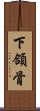 下頜骨 Scroll