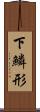 下鱗形 Scroll