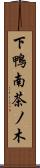 下鴨南茶ノ木 Scroll