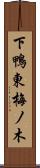 下鴨東梅ノ木 Scroll