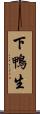 下鴨生 Scroll