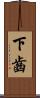 下齒 Scroll